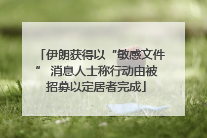 伊朗获得以“敏感文件” 消息人士称行动由被招募以定居者完成