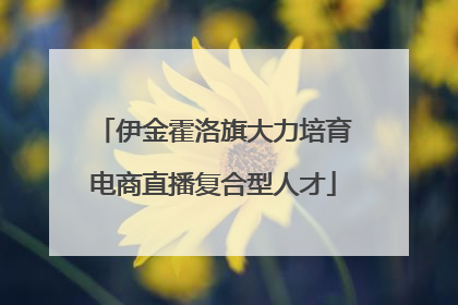 伊金霍洛旗大力培育电商直播复合型人才