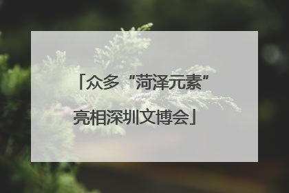 众多“菏泽元素”亮相深圳文博会