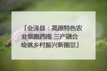 会泽县：高原特色农业领跑西南 三产融合绘就乡村振兴新图景