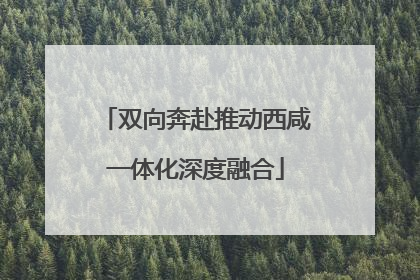 双向奔赴推动西咸一体化深度融合