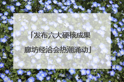 发布六大硬核成果 廊坊经洽会热潮涌动