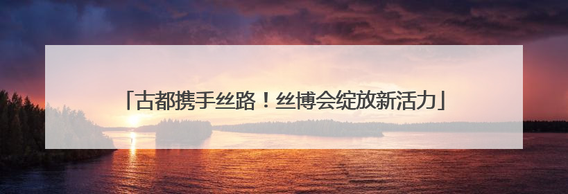 古都携手丝路！丝博会绽放新活力