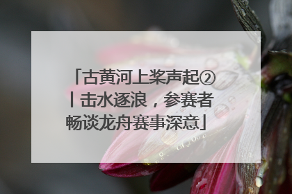 古黄河上桨声起②丨击水逐浪，参赛者畅谈龙舟赛事深意