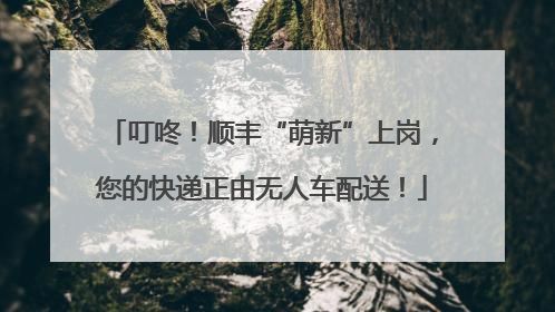 叮咚！顺丰“萌新”上岗，您的快递正由无人车配送！