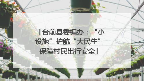 台前县委编办：“小设施”护航“大民生” 保障村民出行安全