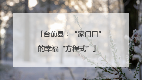 台前县：“家门口”的幸福“方程式”