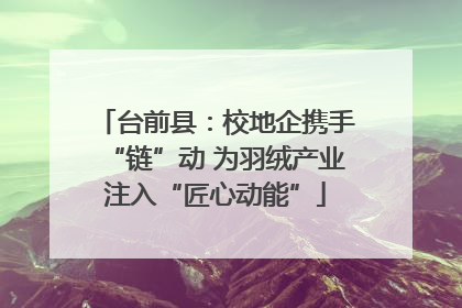 台前县：校地企携手“链”动 为羽绒产业注入“匠心动能”