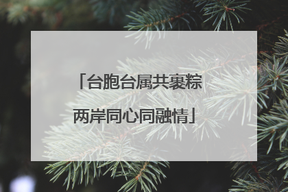 台胞台属共裹粽 两岸同心同融情
