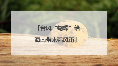 台风“蝴蝶”给海南带来强风雨
