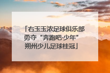右玉玉浓足球俱乐部勇夺“奔跑吧·少年”朔州少儿足球桂冠