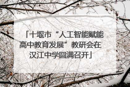 十堰市“人工智能赋能高中教育发展”教研会在汉江中学圆满召开
