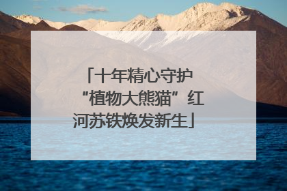 十年精心守护 “植物大熊猫”红河苏铁焕发新生