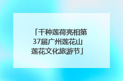 千种莲荷亮相第37届广州莲花山莲花文化旅游节