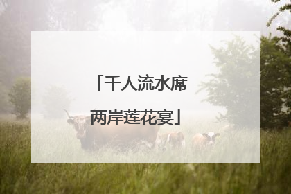 千人流水席 两岸莲花宴