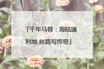 千年马巷：海陆通利地 丝路写传奇