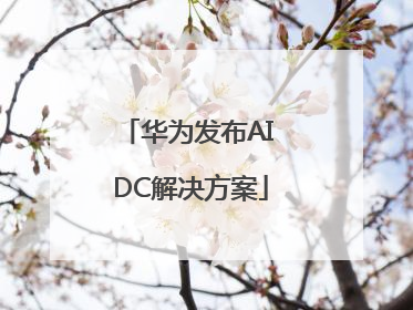 华为发布AI DC解决方案