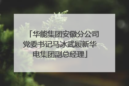 华能集团安徽分公司党委书记马冰武履新华电集团副总经理