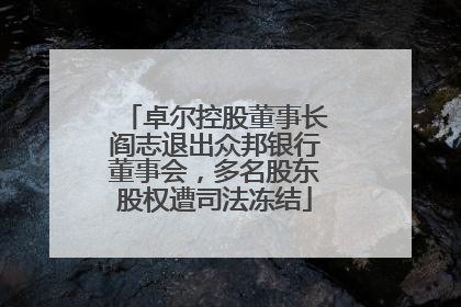 卓尔控股董事长阎志退出众邦银行董事会，多名股东股权遭司法冻结
