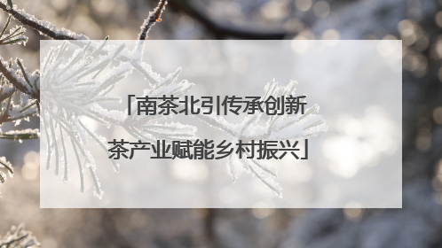 南茶北引传承创新 茶产业赋能乡村振兴