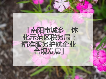 南阳市城乡一体化示范区税务局：精准服务护航企业合规发展