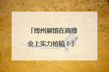 博州展馆在商博会上实力抢镜！