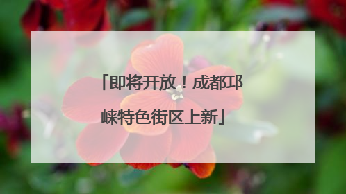 即将开放！成都邛崃特色街区上新