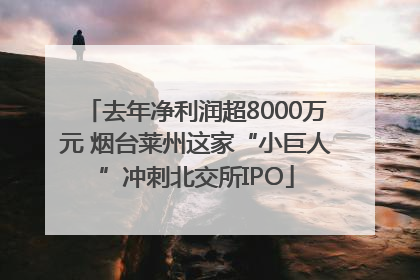 去年净利润超8000万元 烟台莱州这家“小巨人”冲刺北交所IPO