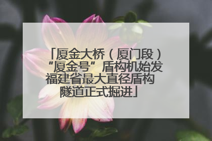 厦金大桥（厦门段）“厦金号”盾构机始发 福建省最大直径盾构隧道正式掘进