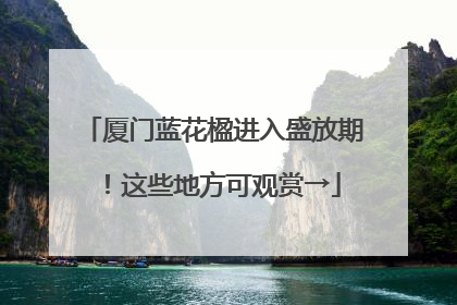 厦门蓝花楹进入盛放期！这些地方可观赏→