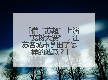 借“苏超”上演“宠粉大赛”，江苏各城市拿出了怎样的诚意？