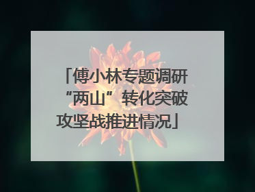 傅小林专题调研“两山”转化突破攻坚战推进情况
