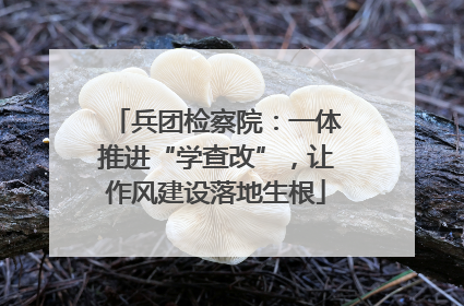 兵团检察院：一体推进“学查改”，让作风建设落地生根