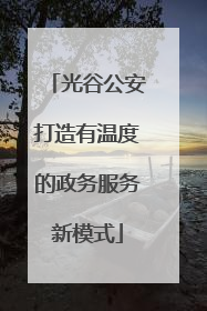光谷公安打造有温度的政务服务新模式