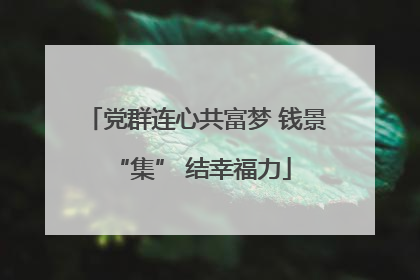 党群连心共富梦 钱景 “集” 结幸福力