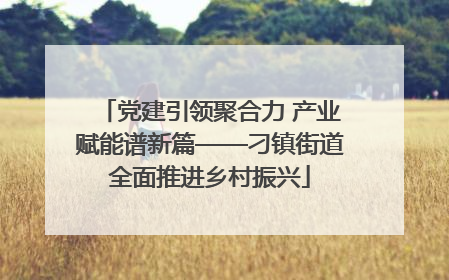 党建引领聚合力 产业赋能谱新篇——刁镇街道全面推进乡村振兴