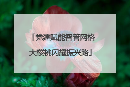党建赋能智管网格 大樱桃闪耀振兴路