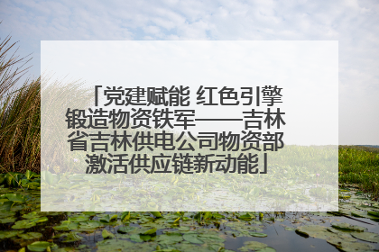 党建赋能 红色引擎锻造物资铁军——吉林省吉林供电公司物资部激活供应链新动能