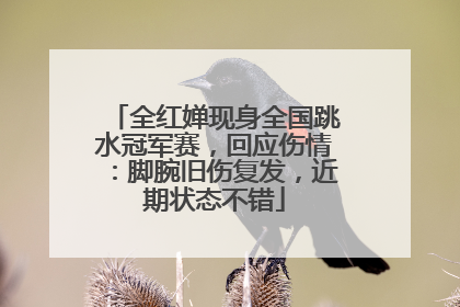 全红婵现身全国跳水冠军赛，回应伤情：脚腕旧伤复发，近期状态不错