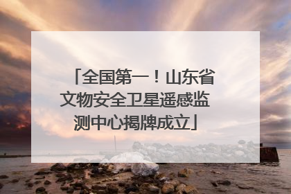 全国第一！山东省文物安全卫星遥感监测中心揭牌成立