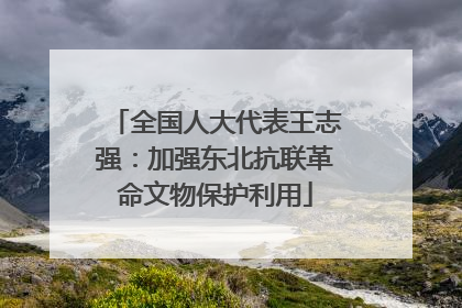 全国人大代表王志强：加强东北抗联革命文物保护利用