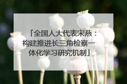 全国人大代表宋燕：构建推进长三角检察一体化学习研究机制