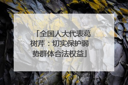 全国人大代表葛树芹：切实保护弱势群体合法权益