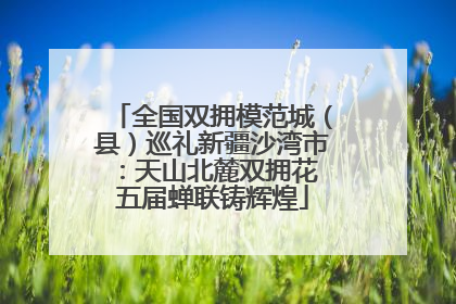 全国双拥模范城（县）巡礼新疆沙湾市：天山北麓双拥花 五届蝉联铸辉煌