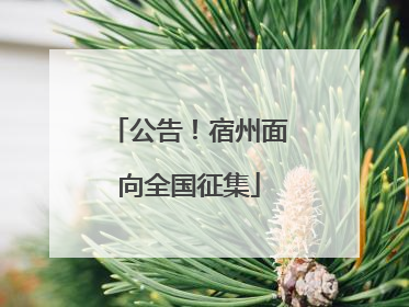 公告！宿州面向全国征集