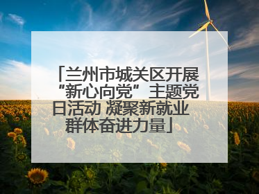 兰州市城关区开展“新心向党”主题党日活动 凝聚新就业群体奋进力量