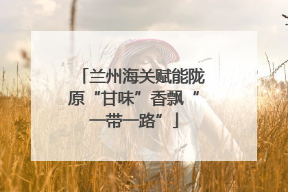 兰州海关赋能陇原“甘味”香飘“一带一路”