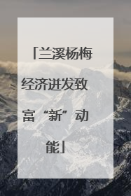 兰溪杨梅经济迸发致富“新”动能