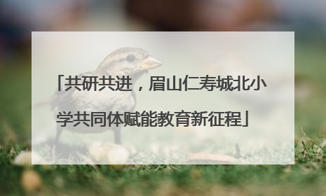 共研共进，眉山仁寿城北小学共同体赋能教育新征程