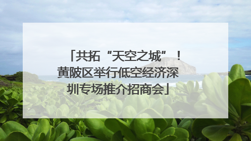 共拓“天空之城”！黄陂区举行低空经济深圳专场推介招商会